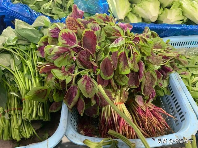 糖拌西红柿又叫什么，糖拌西红柿的别名叫什么（这5种蔬菜尽量少吃）