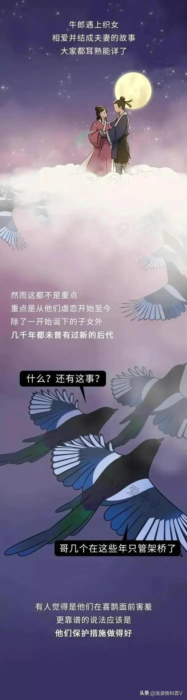 古代是怎么避孕的，古代是怎么避孕的图（在没有“套套”的情况下）