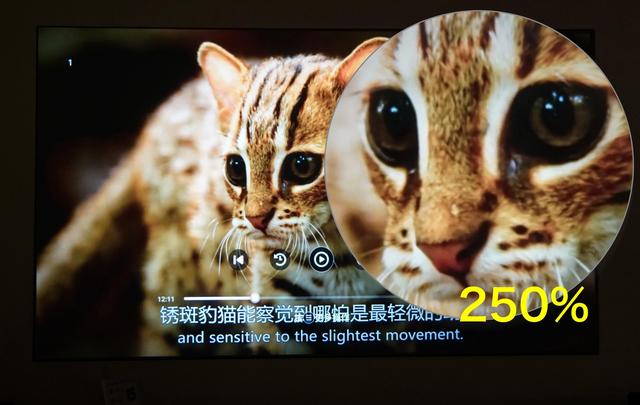 知麻投影z1mini，或许是最适合小青年的千元智能投影仪