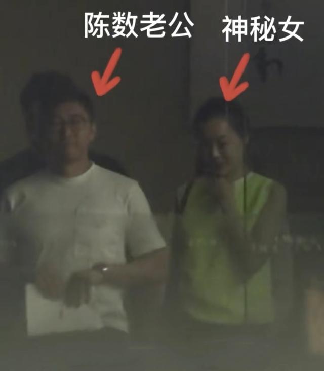 陈数的丈夫是何人，陈数：结婚12年未生育