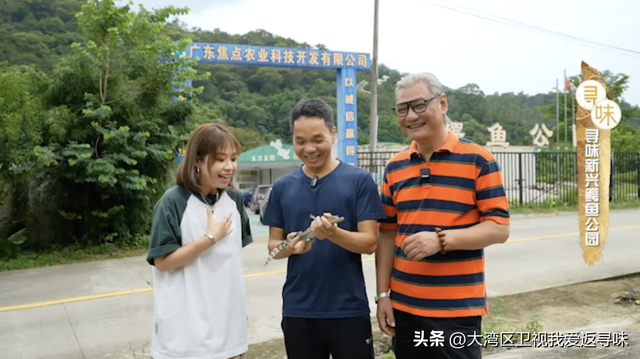 在云浮新兴的鳄鱼公园，养殖的鳄鱼可以营养又美味？