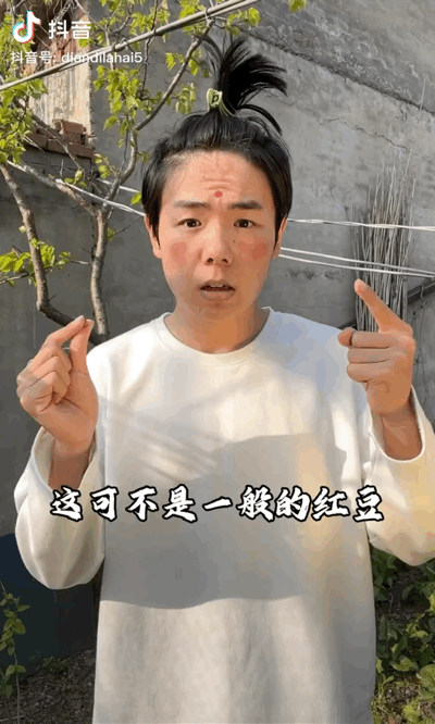 扑棱蛾子是什么梗，扑棱蛾子是什么梗贝斯（听说他换头是靠p的）