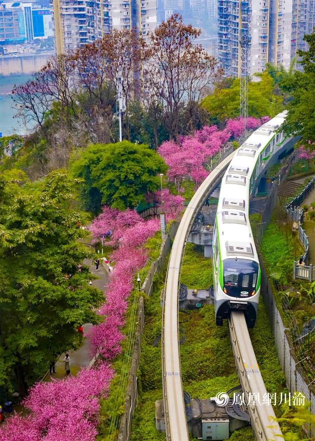 轻轨2号线全线站点线路图，新风貌丨打卡重庆轨道交通“最美车站”②单轨2号线