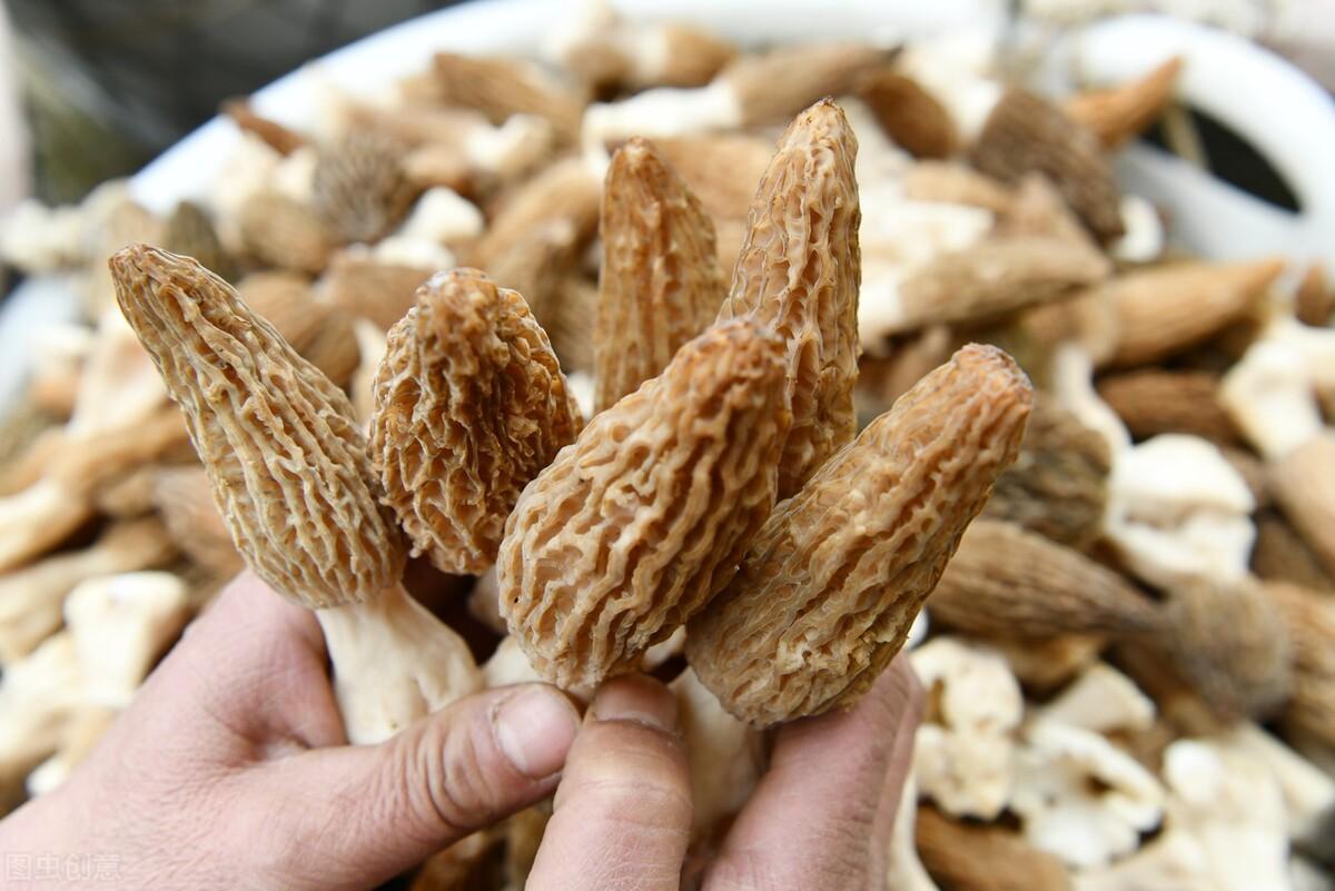 农业创业项目(新型农业项目有哪些)