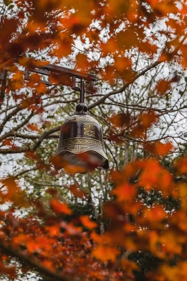 普陀山旅游攻略最新，普陀山旅游攻略2021（期待与你在普陀山朱家尖的邂逅~）