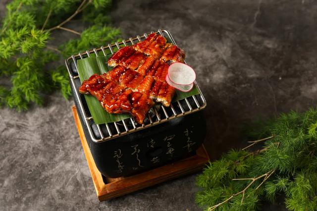 鳗鱼怎么杀，鳗鱼怎么烧好吃又营养（成就一口鳗鱼的完美）