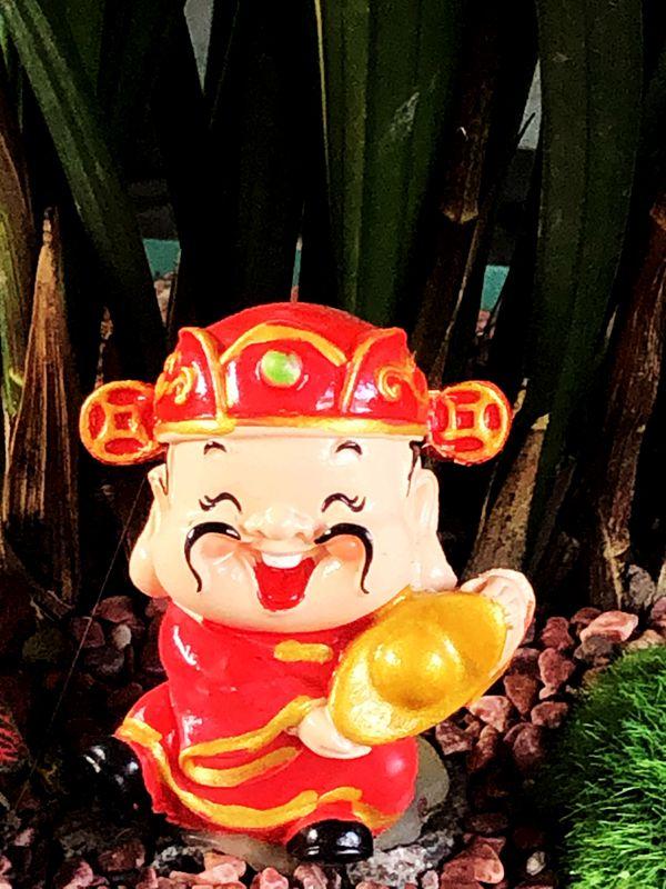 麒麟花的寓意是什么，客厅摆放麒麟的图片（海南迎春花市年味渐浓）