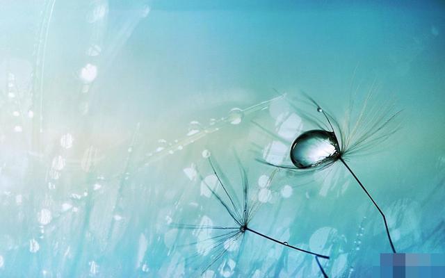 的卢马的读音，《三国演义》电视剧“的卢马”（汉字探源：的字的来历及其本义）