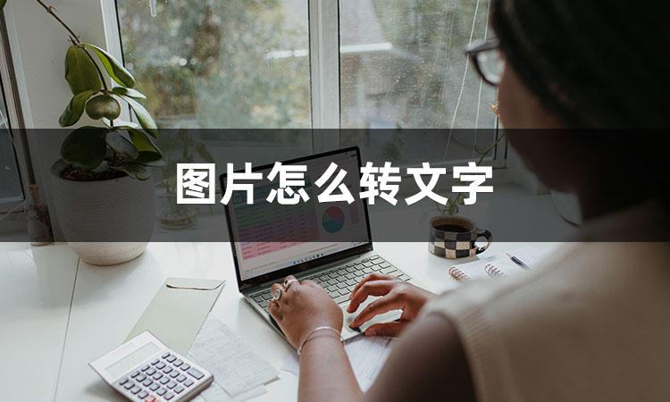 怎么用电脑提取图片中的文字（提取图片中文字的方法）