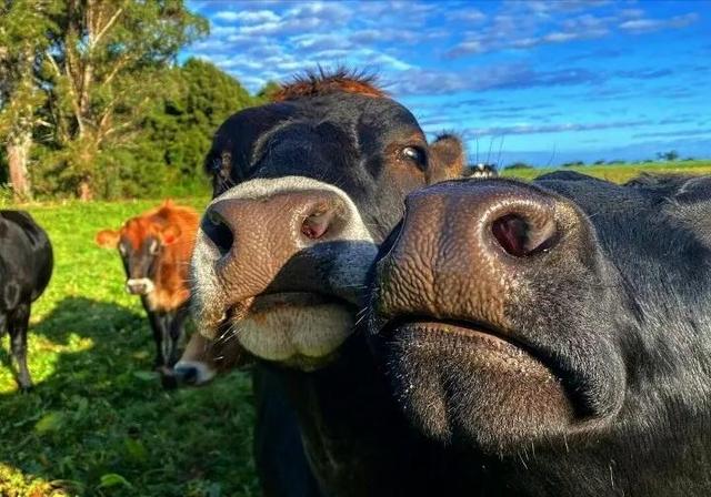 “我有点不开心，微信头像，“我有点不开心，不只一次，不只今天，不只是你”丧系女生头像（所有的不开心就止步于此吧）