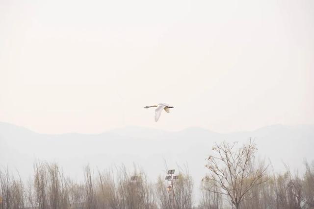 形容晚上的词语，形容晚上天气好的词语（白露暧秋日，月明清漏中）