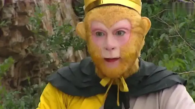 西游记之真假美猴王，西游记之真假美猴王简介（《西游记》中真假美猴王被如来收服的是真悟空）