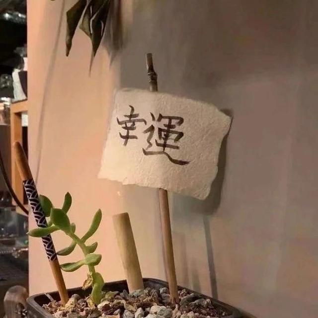 八字霸气情话，霸气8字情话（有没有深入你心的呢）