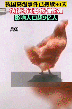 三大火炉城市(中国三大火炉城市)