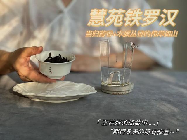 铁罗汉是什么茶，铁罗汉茶属于什么茶（不识慧苑老丛铁罗汉）