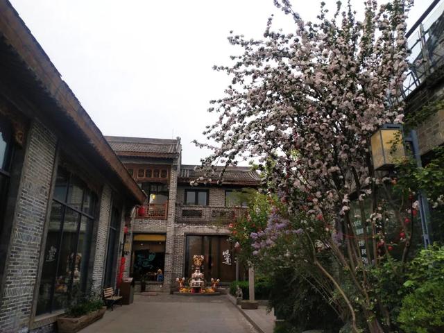 韩城本地特色美食，韩城市特产美食（韩城春游记）