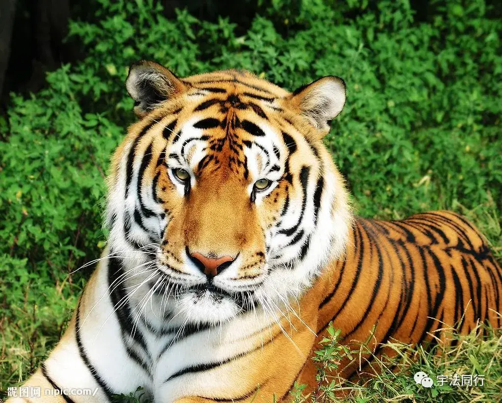 天津律师排名（捷报）