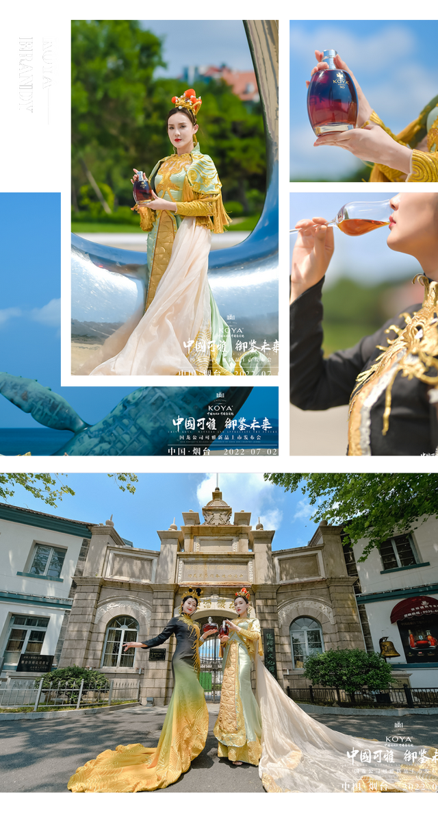 白兰地多少钱一瓶，XO多少一瓶。最便宜的价格（可雅三款高年份白兰地荣耀上市）