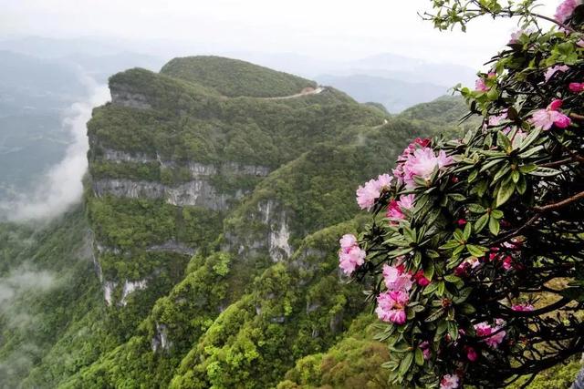 汉中景区有哪些景点免门票，汉中景点门票价格（汉中本地游客速看→）