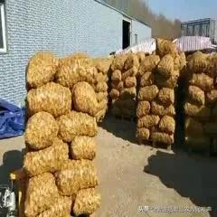 农村做什么致富，当今社会在农村做什么能致富（三个一般人不知道的赚钱项目）