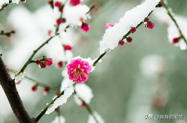 生活虽苦的下一句经典语录，生活很苦的经典语录（生活本不苦,苦的是我们欲望过多;人心本无累,累的是放不下的太多）