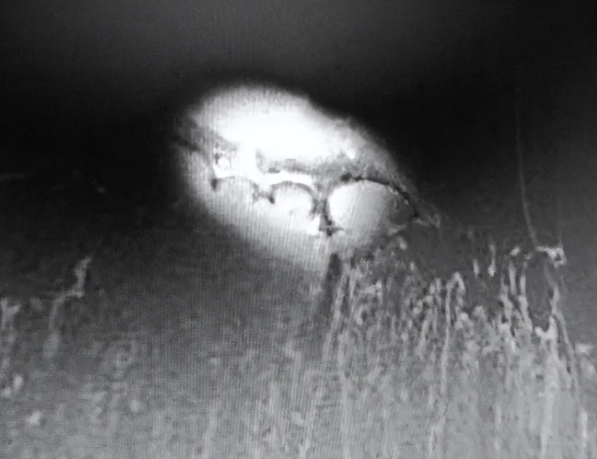 学校集体照诡异在哪（1959年9名青年登山死亡）