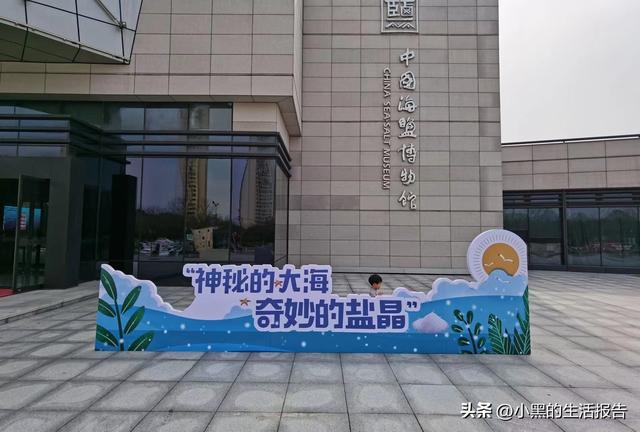 江苏盐城大丰荷兰花海门票，五一就去这里！儿童友好型