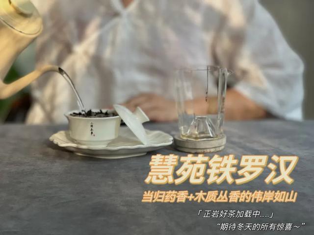 铁罗汉是什么茶，铁罗汉茶属于什么茶（不识慧苑老丛铁罗汉）