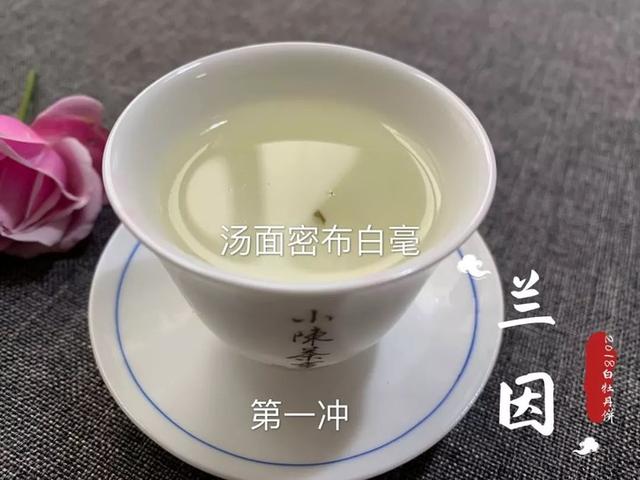 白茶和老白茶的区别是什么，老白茶和白茶一样吗（再也不怕受骗上当了）