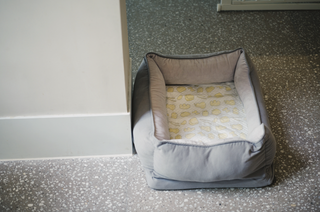 张震岳的《玩乐令》 歌词，张震岳的《玩乐令》（阿那亚，怎么住）