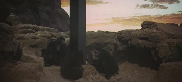 2001太空漫游，太空漫游2001讲了什么（太空漫游》中的黑石暗示了什么）