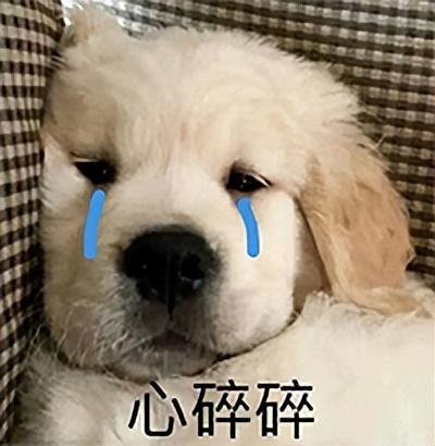 大肠和小肠的区别，羊大肠和羊小肠的区别（人生无常的大肠包小肠）