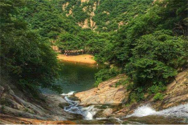 河南好茶推荐，行走河南·读懂中国丨信阳