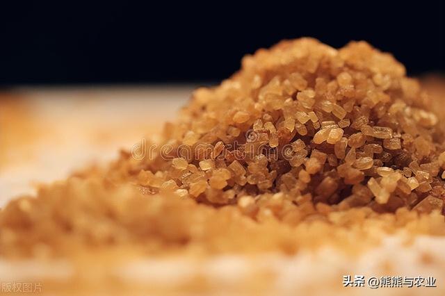 甘蔗的种植技术方法，如何种植甘蔗（甘蔗的种植方法）