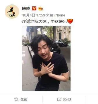 陈晓龙门镖局，龙门镖局的演员表（你这么疯陈妍希知道吗）