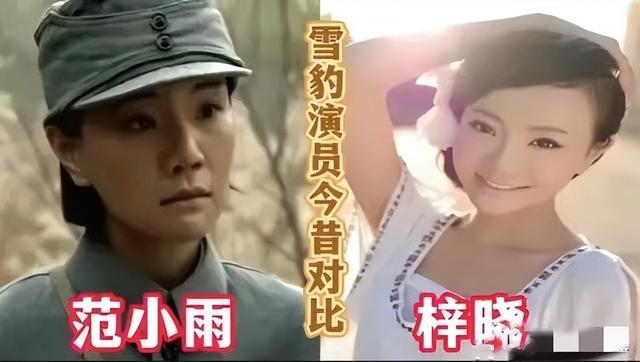 雪豹萧雅扮演者，雪豹萧雅扮演者是谁（12年后再看《雪豹》）