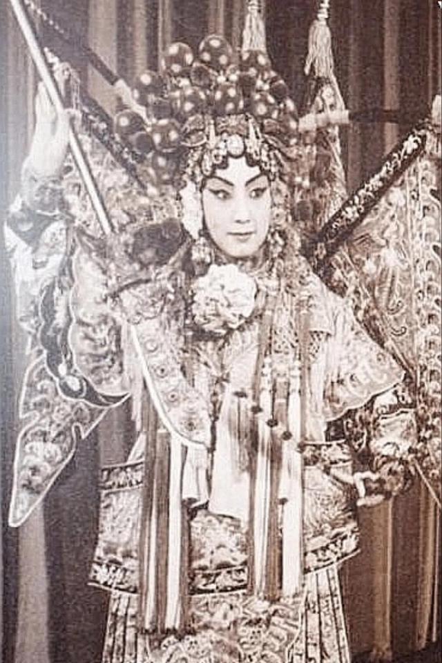 杜近芳现代京剧艺术欣赏，杜近芳“十大名剧”掠影