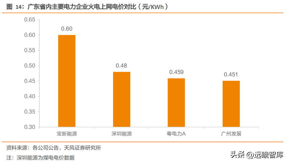 宝丽华（广东省民营电力企业）