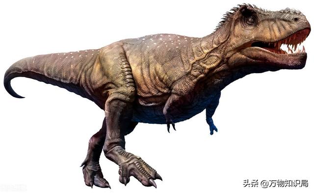 科学家用鸡的基因复活恐龙，鸡中霸王 鬼谷