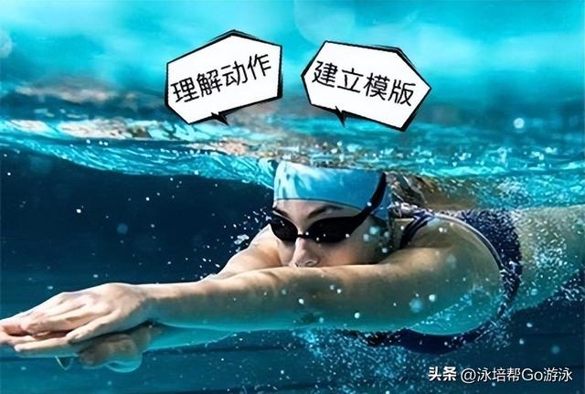 怎么训练自由泳，自由泳基本功训练（你需要知道的6件事）