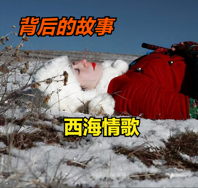 西海情歌歌词刀郎，西海情歌歌词（揭秘刀郎《西海情歌》背后的爱情故事）