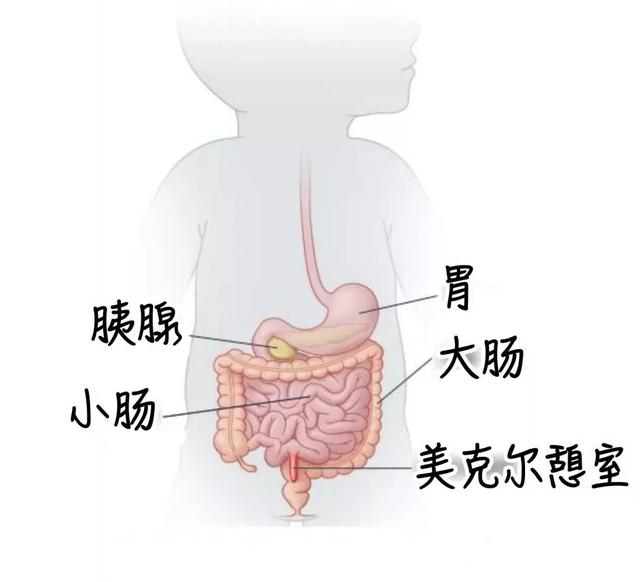 男性小腹部痛是怎么回事，左小腹疼痛男性怎么办（孩子发烧呕吐肚子痛）
