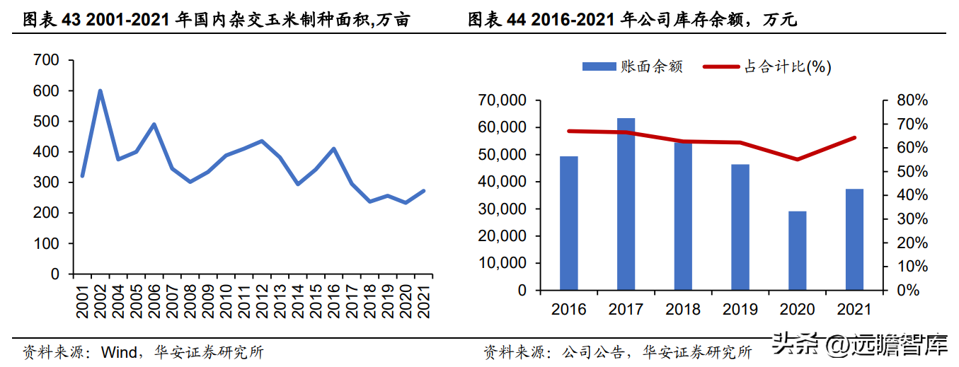 登海先锋种业（玉米种子领军企业）