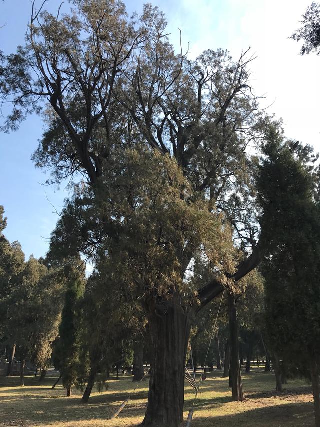 弥高是什么意思，钻之弥坚仰之弥高是什么意思（重游孔庙之—：孔庙的石坊庙门）