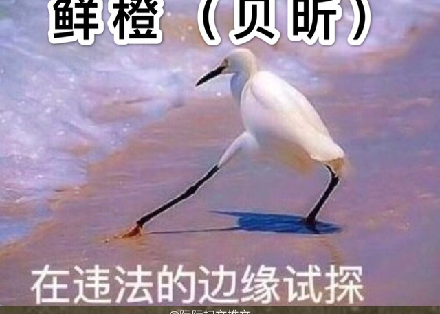 咸鱼图片表情包，沙雕咸鱼文字表情包（言情作者风格大赏）