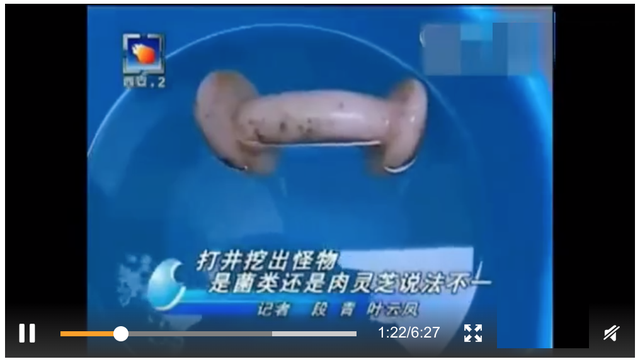 太岁是怎么形成的，化解太岁的三种方法（形成于4万年前、不是植物不是肉）