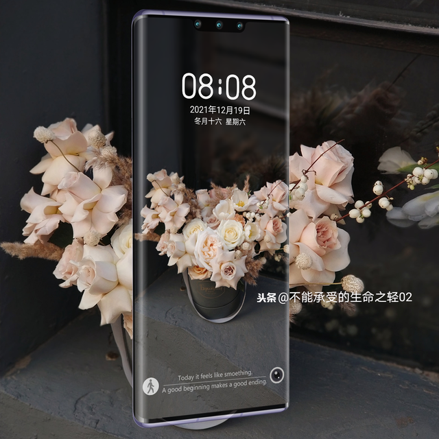 风景静物背景图|谢谢光临.，静物背景图片（花卉摄影壁纸图文解说）