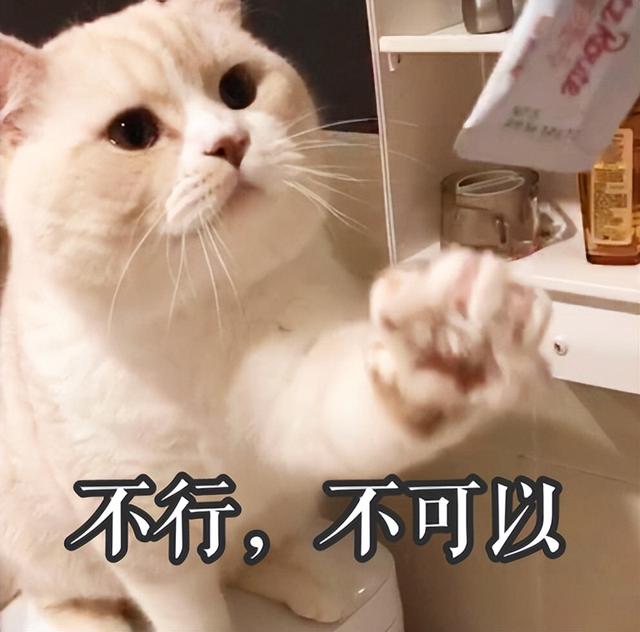 刘海显脸小的发型教程，2023年最火的氛围感刘海来了