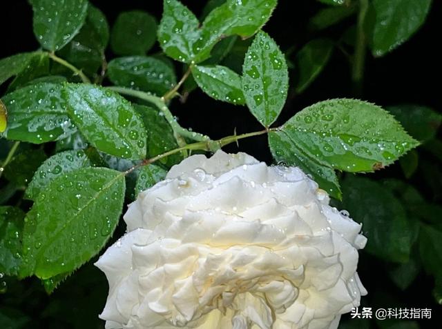 12pm是几点,12pm是几点 马来西亚(苹果12PM换成iPhone13ProMax的三点感受) 12pm是几点,12pm是几点 马来西亚(苹果12PM换成iPhone13ProMax的三点感受)