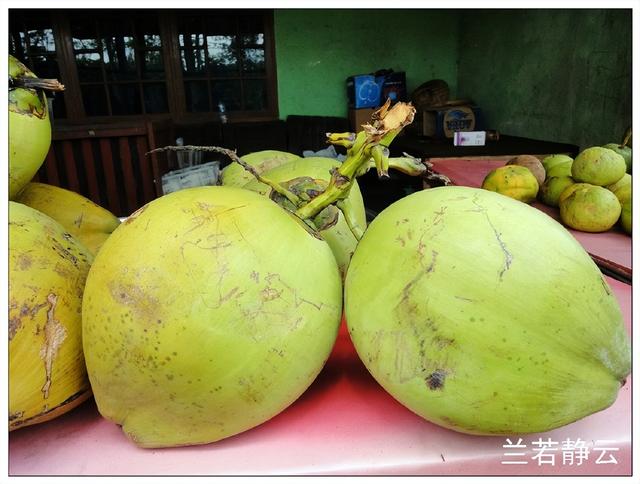 猫屎咖啡的价格，猫屎咖啡多少钱一杯（印尼巴厘岛旅游）